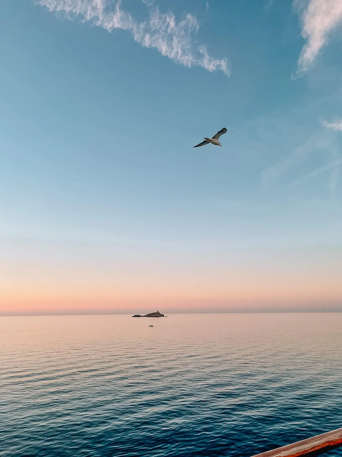 Tauchen vor Elba – Foto 4